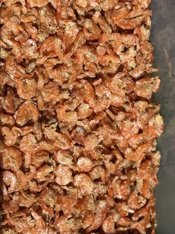 Crevettes sechees