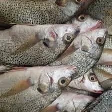 Poisson Sompate