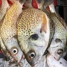 Poisson Eau Douce
