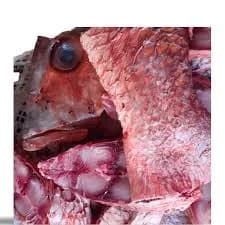 Yakh (Carpe Rouge)